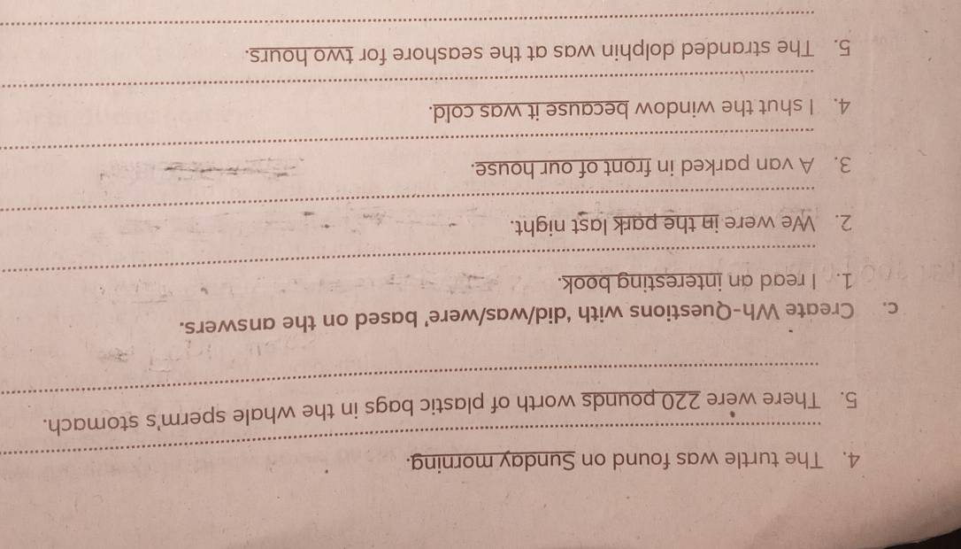 The turtle was found on Sunday morning. 
_ 
5. There were 220 pounds worth of plastic bags in the whale sperm's stomach. 
c. Create Wh-Questions with ‘did/was/were’ based on the answers. 
_ 
1. I read an interesting book. 
_ 
2. We were in the park last night. 
_ 
_ 
3. A van parked in front of our house. 
_ 
4. I shut the window because it was cold. 
_ 
5. The stranded dolphin was at the seashore for two hours.