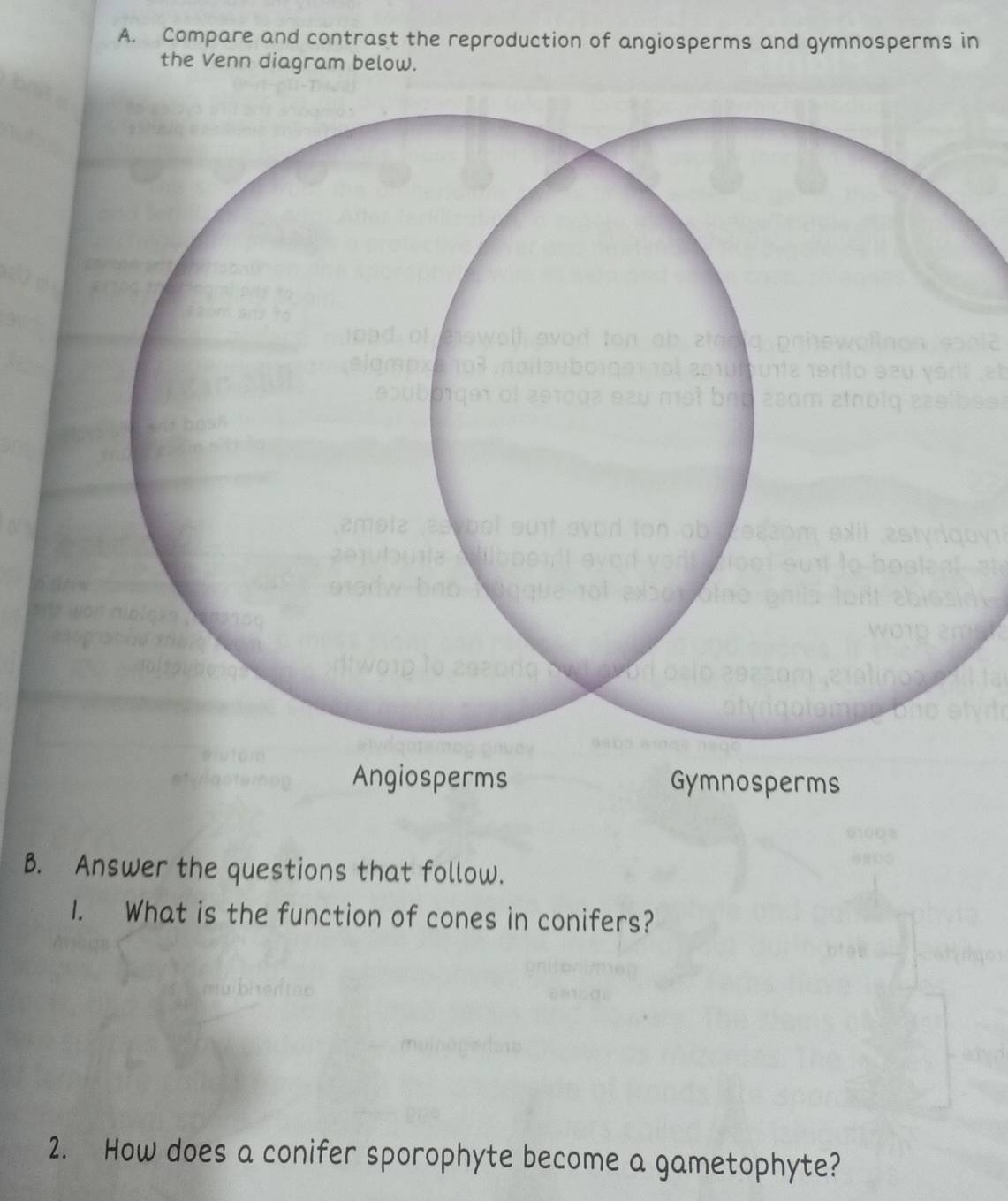 Compare and contrast the reproduction of angiosperms and gymnosperms in 
the Venn diagram below. 
B. Answer the questions that follow. 
1. What is the function of cones in conifers? 
2. How does a conifer sporophyte become a gametophyte?