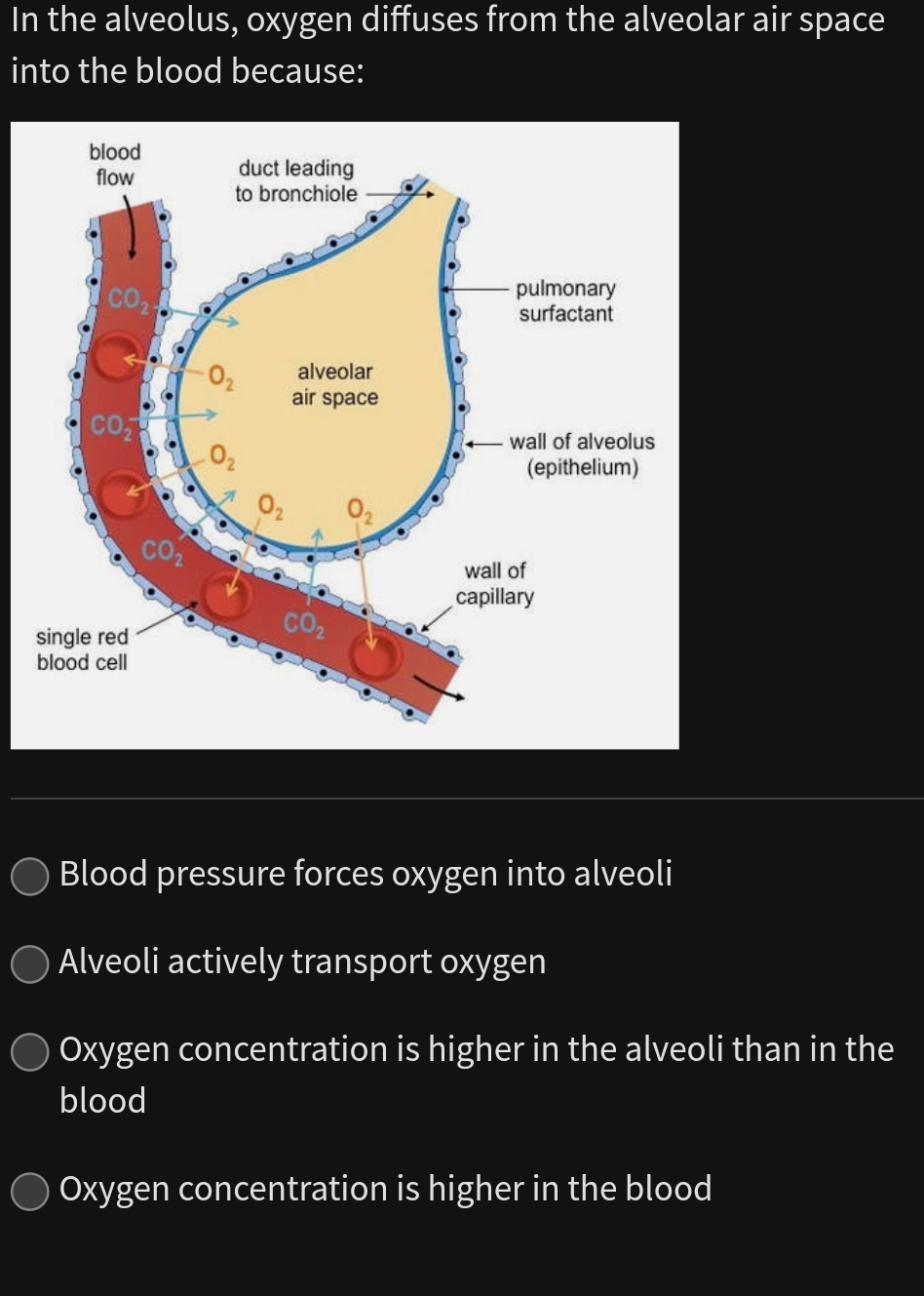 Telah dijawab:In the alveolus, oxygen diffuses from the alveolar air ...