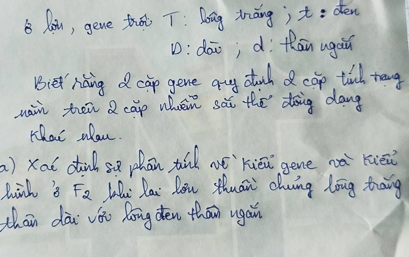 Blai, gene thá T: long triāng; t: den 
D:dāo; d thān ugaiu 
Biet haing d cap gene any stuch d cap tll tng 
nain ten 2 cāp when sài the doig dang 
rhai alou. 
a) xai sti se phān túd nóxièi gene nà xiāi 
hink 3 F_2 Lhi Rai lou thuān chng long thāing 
chain dài vǒu Rong den thān ugain