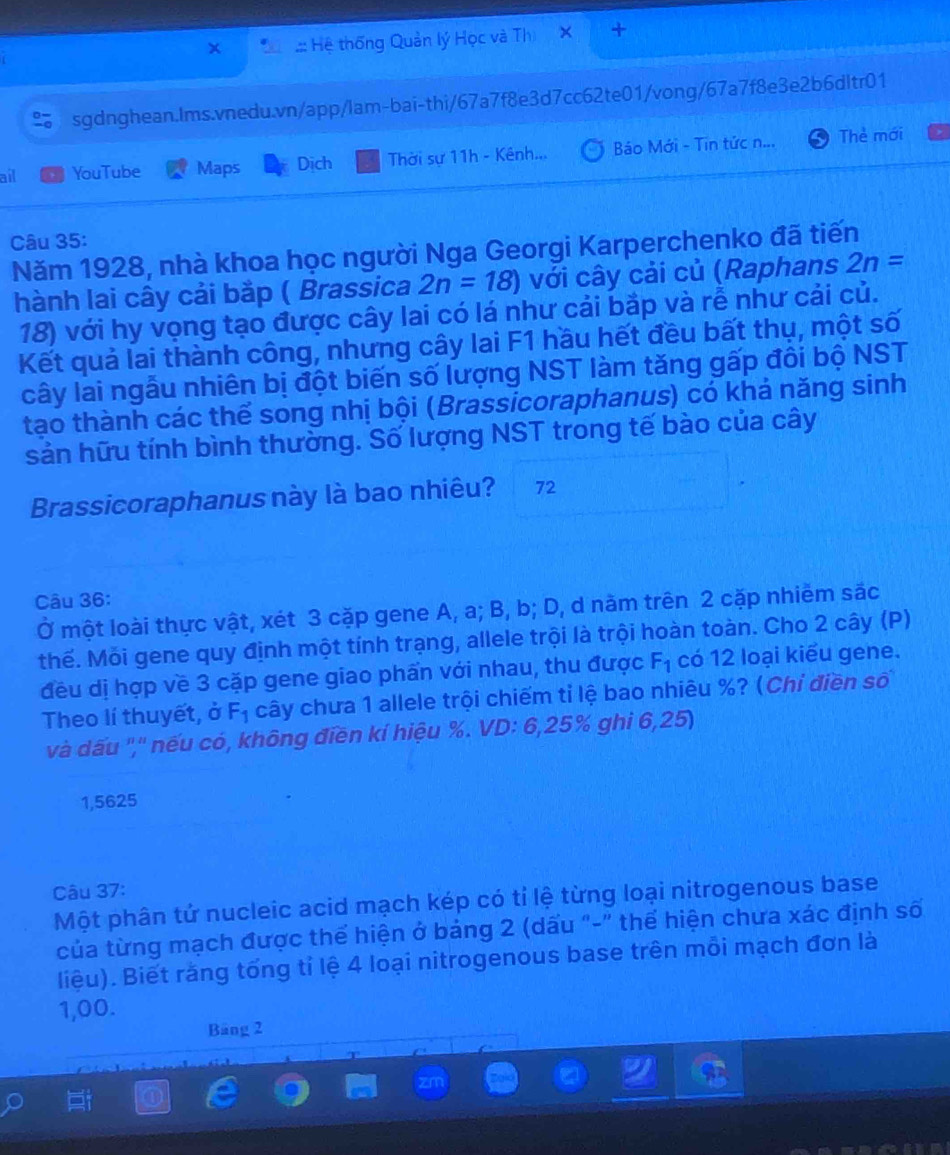 Hệ thống Quản lý Học và Thi
% sgdnghean.Ims.vnedu.vn/app/lam-bai-thi/67a7f8e3d7cc62te01/vong/67a7f8e3e2b6dItr01
ail , YouTube Maps Dịch Thời sự 11h - Kênh...  Báo Mới - Tin tức n... Thẻ mới
Câu 35:
Năm 1928, nhà khoa học người Nga Georgi Karperchenko đã tiến
hành lai cây cải bắp ( Brassica 2n=18) với cây cải củ (Raphans 2n=
18) với hy vọng tạo được cây lai có lá như cải bắp và rễ như cải củ.
Kết quả lai thành công, nhưng cây lai F1 hầu hết đều bất thụ, một số
cây lai ngẫu nhiên bị đột biến số lượng NST làm tăng gấp đôi bộ NST
tạo thành các thể song nhị bội (Brassicoraphanus) có khả năng sinh
sản hữu tính bình thường. Số lượng NST trong tế bào của cây
Brassicoraphanus này là bao nhiêu? 72
Câu 36:
Ở một loài thực vật, xét 3 cặp gene A, a; B, b; D, d năm trên 2 cặp nhiêm sắc
thế. Mỗi gene quy định một tính trạng, allele trội là trội hoàn toàn. Cho 2 cây (P)
đều dị hợp về 3 cặp gene giao phần với nhau, thu được F_1 có 12 loại kiểu gene.
Theo lí thuyết, ở F_1 cây chưa 1 allele trội chiếm tỉ lệ bao nhiêu %? (Chỉ điền số
và dấu '','' nếu có, không điền kí hiệu %. VD: 6,25% ghi 6,25)
1,5625
Câu 37:
Một phân tử nucleic acid mạch kép có tỉ lệ từng loại nitrogenous base
của từng mạch được thể hiện ở bảng 2 (dấu "-" thể hiện chưa xác định số
liệu). Biết rằng tổng tỉ lệ 4 loại nitrogenous base trên mỗi mạch đơn là
1,00.
Bảng 2