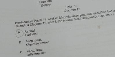 Sebelum
Before Rajah 11
Diagram 11
Berdasarkan Rajah 11, apakah faktor dalaman yang menghasilkan baha
Based on Diagram 11, what is the internal factor that produce substance
A Radiasi
Radiation
B Asap rokok
Cigarette smoke
c Keradangan
Inflammation