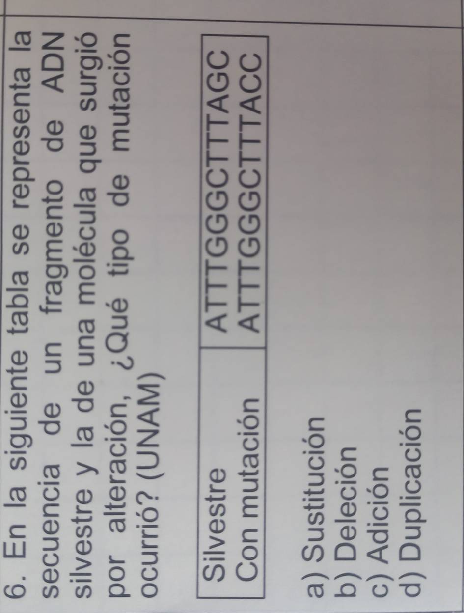 En la siguiente tabla se representa la
secuencia de un fragmento de ADN
silvestre y la de una molécula que surgió
por alteración, ¿Qué tipo de mutación
ocurrió? (UNAM)
Silvestre ATTTGGGCTTTAGC
Con mutación ATTTGGGCTTTACC
a) Sustitución
b) Deleción
c) Adición
d) Duplicación