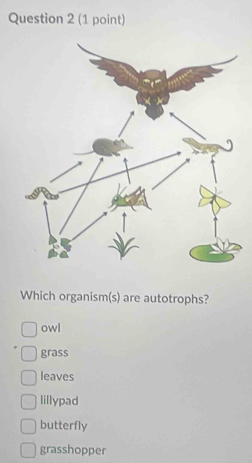 Which organism(s) are autotrophs?
owl
grass
leaves
lillypad
butterfly
grasshopper