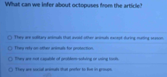 What can we infer about octopuses from the article?
They are solitary animals that avoid other animals except during mating season.
They rely on other animals for protection.
They are not capable of problem-solving or using tools.
They are social animals that prefer to live in groups.