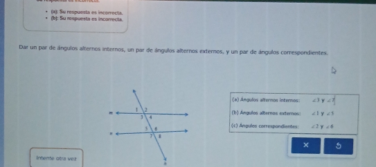 (a): Su respuesta es incorrecta. (b): Su respuesta es incorrecta.
Dar un par de ángulos alternos internos, un par de ángulos alternos externos, y un par de ángulos correspondientes.
a) Ángulos alternos internos: ∠ 3y∠ 7
(b) Ángulos alternos externos: ∠ 1y∠ 5
(c) Ángulas correspandientes: ∠ 2y∠ 6
× 5
Intente otra vez