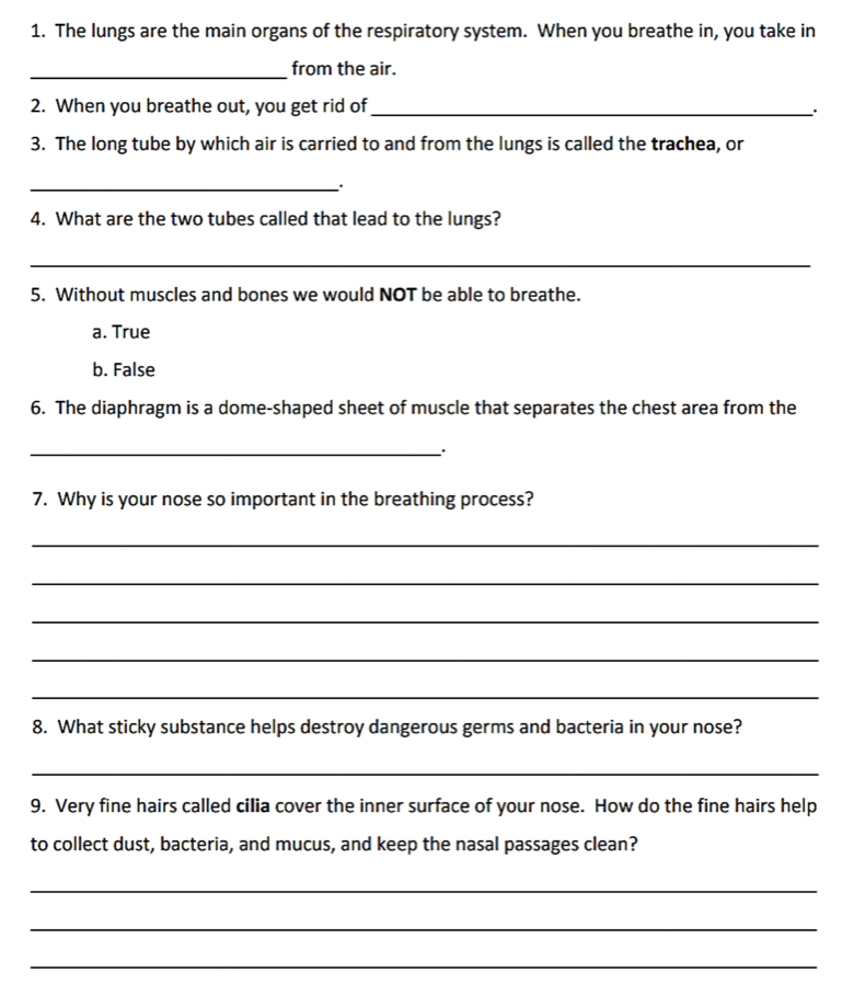 The lungs are the main organs of the respiratory system. When you breathe in, you take in
_
from the air.
2. When you breathe out, you get rid of_
3. The long tube by which air is carried to and from the lungs is called the trachea, or
_..
4. What are the two tubes called that lead to the lungs?
_
5. Without muscles and bones we would NOT be able to breathe.
a. True
b. False
6. The diaphragm is a dome-shaped sheet of muscle that separates the chest area from the
_
7. Why is your nose so important in the breathing process?
_
_
_
_
_
8. What sticky substance helps destroy dangerous germs and bacteria in your nose?
_
9. Very fine hairs called cilia cover the inner surface of your nose. How do the fine hairs help
to collect dust, bacteria, and mucus, and keep the nasal passages clean?
_
_
_