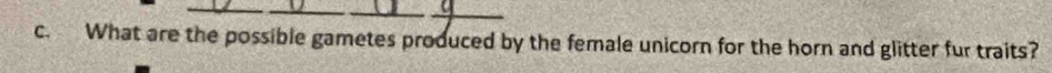 What are the possible gametes produced by the female unicorn for the horn and glitter fur traits?