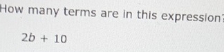 How many terms are in this expression'
2b+10