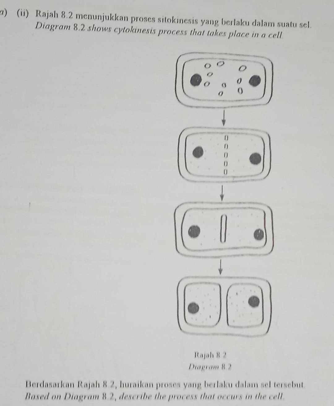 ) (ii) Rajah 8.2 menunjukkan proses sitokinesis yang berlaku dalam suatu sel. 
Diagram 8.2 shows cytokinesis process that takes place in a cell 
O
0
0 O
D 
Rajah 8 2 
Diagram 8.2 
Berdasarkan Rajah 8.2, huraikan proses yang berlaku dalam sel tersebut. 
Based on Diagram 8.2, describe the process that occurs in the cell.