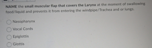 NAME the small muscular flap that covers the Larynx at the moment of swallowing
food/liquid and prevents it from entering the windpipe/Trachea and or lungs.
Nasopharynx
Vocal Cords
Epiglottis
Glottis