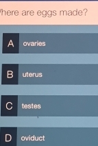 here are eggs made?
ovaries
uterus
testes
oviduct