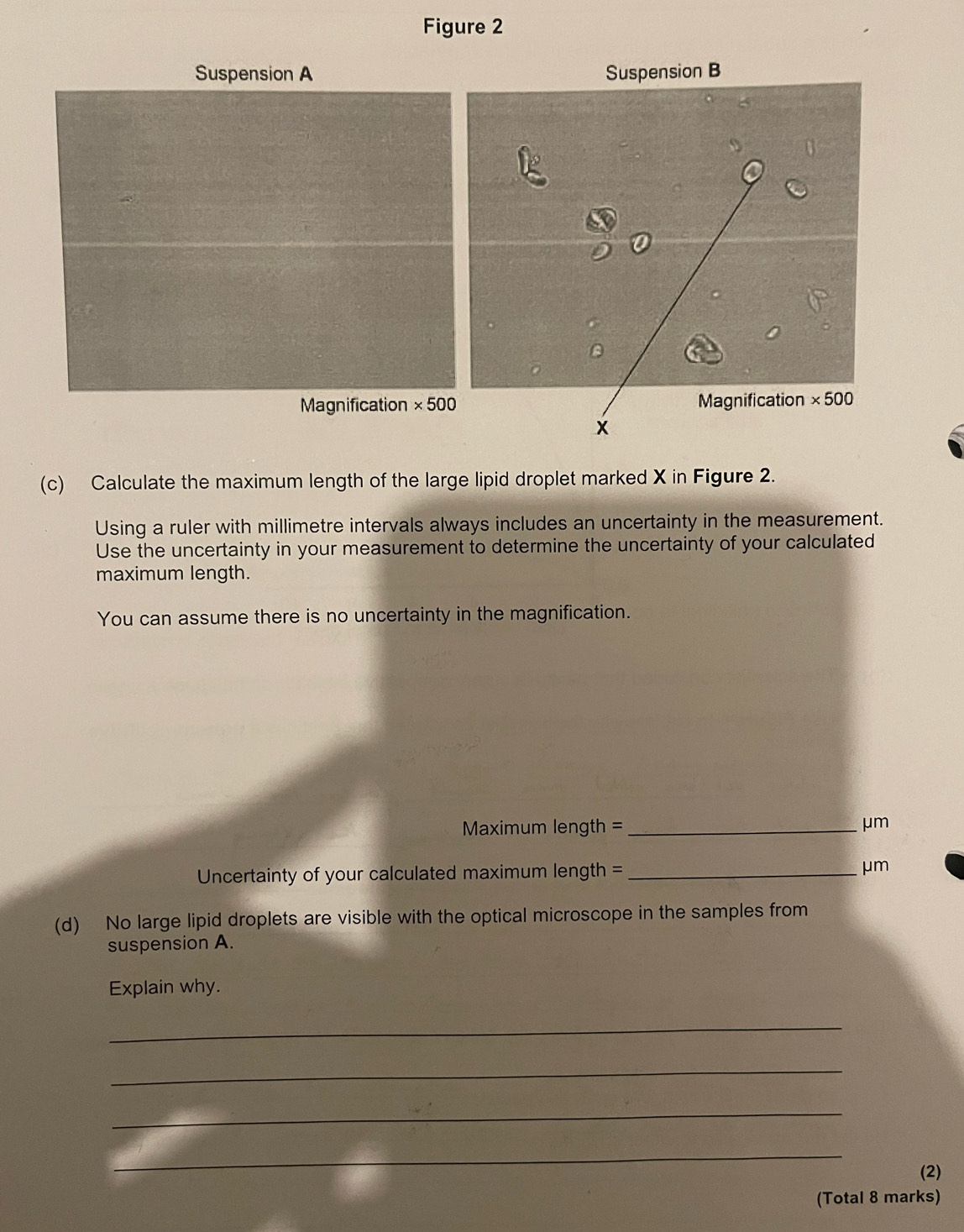 Figure 2
Suspension A
Magnification * 500
(c) Calculate the maximum length of the large lipid droplet marked X in Figure 2.
Using a ruler with millimetre intervals always includes an uncertainty in the measurement.
Use the uncertainty in your measurement to determine the uncertainty of your calculated
maximum length.
You can assume there is no uncertainty in the magnification.
Maximum length = _μm
Uncertainty of your calculated maximum length = _μm
(d) No large lipid droplets are visible with the optical microscope in the samples from
suspension A.
Explain why.
_
_
_
_
(2)
(Total 8 marks)