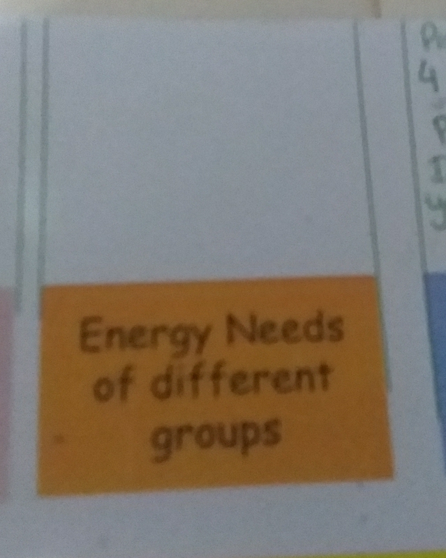 Energy Needs 
of different 
groups