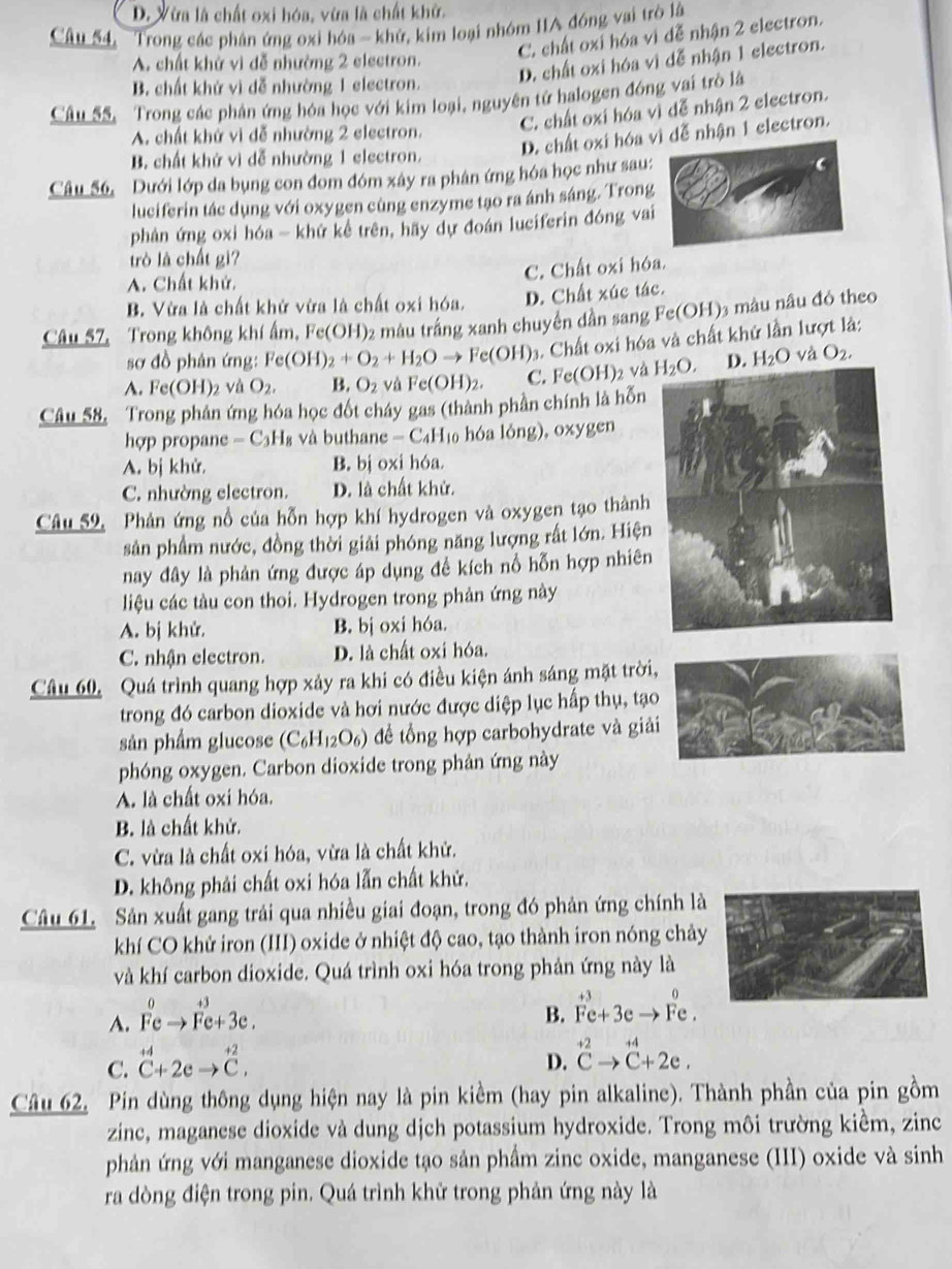 D. Vừa là chất oxi hóa, vừa là chất khử.
Câu 54, Trong các phân ứng oxi hóa - khử, kim loại nhóm IIA đóng vai trò là
C. chất oxi hóa vì đễ nhận 2 electron.
A. chất khử vì dễ nhường 2 electron.
D. chất oxi hóa vì dễ nhận 1 electron.
B. chất khứ vì dễ nhường 1 electron.
Câu 55. Trong các phân ứng hóa học với kim loại, nguyên tử halogen đóng vai trò là
C. chất oxi hóa vì dễ nhận 2 electron.
A. chất khứ vì đễ nhường 2 electron.
D. chất oxi hóa vì dễ nhận 1 electron.
B. chất khử vì dễ nhường 1 electron.
Câu 56, Dưới lớp da bụng con đom đóm xây ra phân ứng hóa học như sau:  
luciferin tác dụng với oxygen cùng enzyme tạo ra ánh sáng. Trong
phản ứng oxi hóa - khứ kể trên, hãy dự đoán luciferin đóng vai
trò là chất gì?
C. Chất oxi hóa.
A. Chất khử.
B. Vừa là chất khử vừa là chất oxi hóa. D. Chất xúc tác.
Câu 57, Trong không khí ẩm, Fe (OH) 02 màu trắng xanh chuyền dần sang Fe(OH )3 màu nâu đỏ theo
sơ đồ phản ứng: Fe(OH)_2+O_2+H_2Oto Fe(OH)_3 1. Chất oxi hóa và chất khử lần lượt là:
A. Fe(OH)_2 và O_2, B. O_2 và Fe(OH)_2. C. Fe(OH) 2 và D. H_2O và O_2.
Câu 58. Trong phản ứng hóa học đốt cháy gas (thành phần chính là hỗn
hợp propane -C_3H_8 và buthane - C₄H₁₀ hóa lỏng), 0xygen
A. bị khử. B. bị oxi hóa.
C. nhường electron. D. là chất khử.
Câu 59, Phản ứng nổ của hỗn hợp khí hydrogen và oxygen tạo thành
sân phẩm nước, đồng thời giải phóng năng lượng rất lớn. Hiện
nay đây là phản ứng được áp dụng đề kích nổ hỗn hợp nhiên
liệu các tàu con thoi. Hydrogen trong phản ứng này
A. bị khử. B. bị oxi hóa.
C. nhận electron. D. là chất oxi hóa.
Câu 60, Quá trình quang hợp xảy ra khi có điều kiện ánh sáng mặt trời
trong đó carbon dioxide và hơi nước được diệp lục hấp thụ, tạ
sản phẩm glucose (C_6H_12O_6) để tổng hợp carbohydrate và giả
phóng oxygen. Carbon dioxide trong phản ứng này
A. là chất oxi hóa.
B. là chất khử.
C. vừa là chất oxi hóa, vừa là chất khử.
D. không phải chất oxi hóa lẫn chất khử.
Câu 61. Sản xuất gang trải qua nhiều giai đoạn, trong đó phản ứng chính là
khí CO khử iron (III) oxide ở nhiệt độ cao, tạo thành iron nóng chảy
và khí carbon dioxide. Quá trình oxi hóa trong phản ứng này là
A. F^0eto F^(+3)e+3e.
B. beginarrayr +3 Fe+3eto Fe.endarray
C. beginarrayr +4 C+2eto beginarrayr +2 Cendarray ,
D. ^+2Cto^(+4)C+2e.
Câu 62. Pin dùng thông dụng hiện nay là pin kiểm (hay pin alkaline). Thành phần của pin gồm
zinc, maganese dioxide và dung dịch potassium hydroxide. Trong môi trường kiềm, zinc
phản ứng với manganese dioxide tạo sản phẩm zinc oxide, manganese (III) oxide và sinh
ra dòng điện trong pin. Quá trình khử trong phản ứng này là