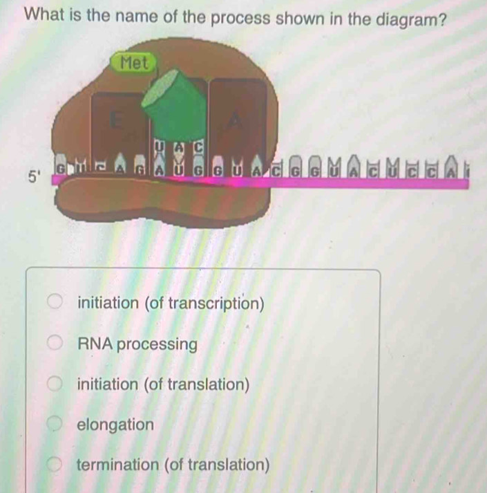 Solved: What is the name of the process shown in the diagram ...