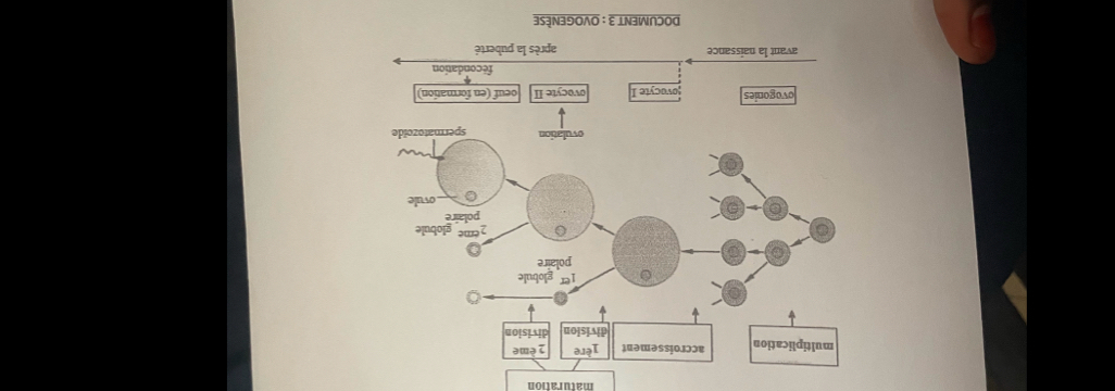 ∃९३Ν∃90ΛΟ ： ε ⊥ N∃W∩ɔоа