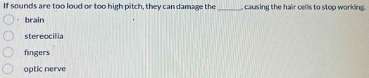 If sounds are too loud or too high pitch, they can damage the_ , causing the hair cells to stop working.
brain
stereocilia
fingers
optic nerve