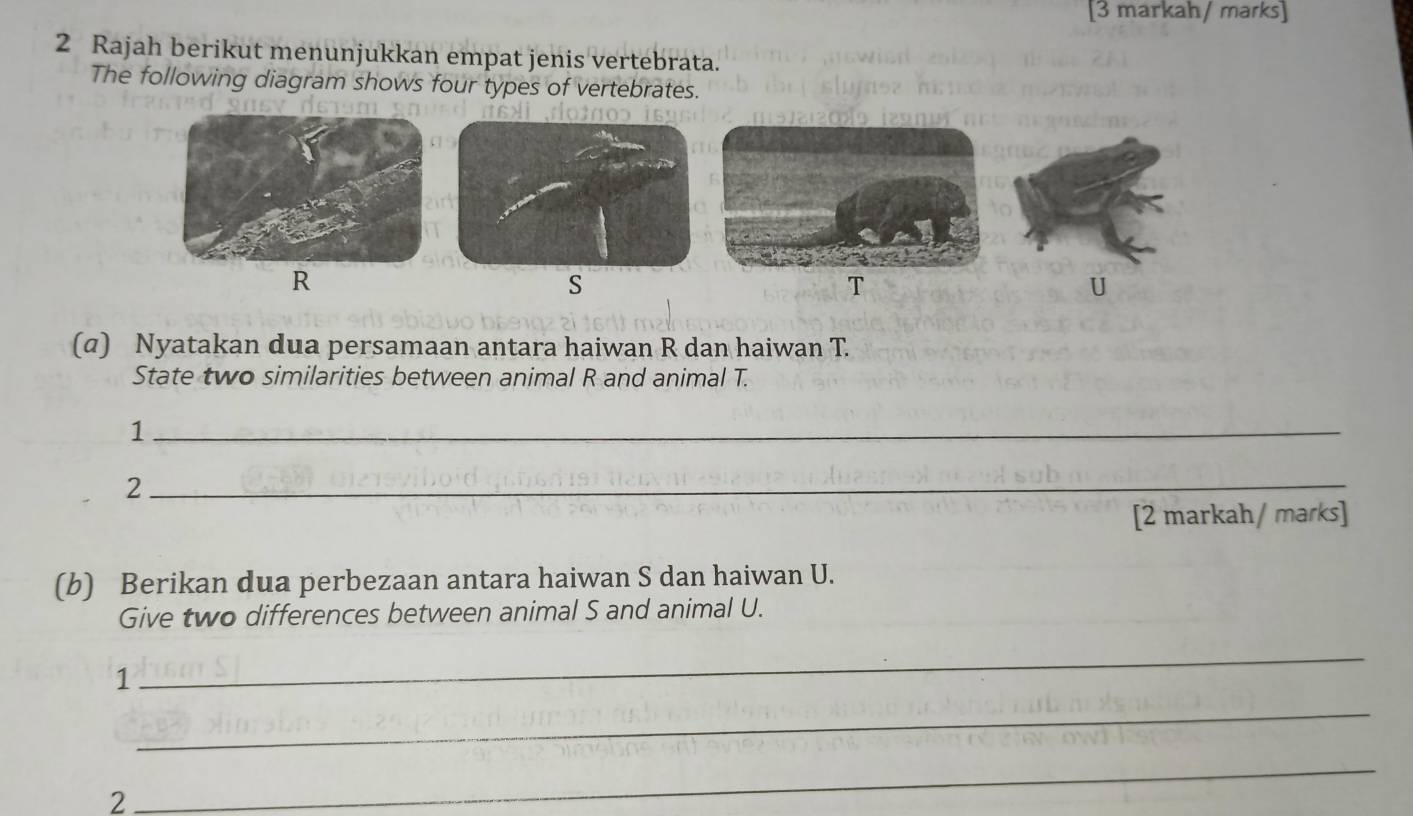 [3 markah/ marks] 
2 Rajah berikut menunjukkan empat jenis vertebrata. 
The following diagram shows four types of vertebrates.
R
s
T
U
(α) Nyatakan dua persamaan antara haiwan R dan haiwan T. 
State two similarities between animal R and animal T. 
_1 
_2 
[2 markah/ marks] 
(b) Berikan dua perbezaan antara haiwan S dan haiwan U. 
Give two differences between animal S and animal U. 
_ 
1 
_ 
_ 
2