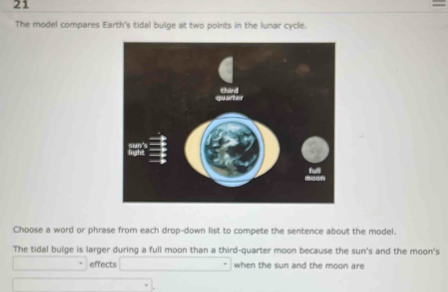 21 
= 
The model compares Earth's tidal bulge at two points in the lunar cycle. 
Choose a word or phrase from each drop-down list to compete the sentence about the model. 
The tidal bulge is larger during a full moon than a third-quarter moon because the sun's and the moon's 
effects...^* when the sun and the moon are