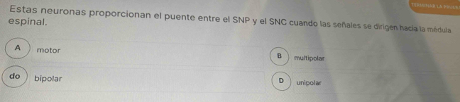 Solved: TER3ENA L OSATE Estas neuronas proporcionan el puente entre el ...