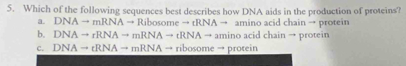 Which of the following sequences best describes how DNA aids in the production of proteins?
a. DNAto mRNAto R ibosome → tRNA → amino acid chain → protein
b. DNAto rRNAto mRNAto tRNAto amin o acid chain → protein
c. DNAto tRNAto mRNA → ribosome → protein