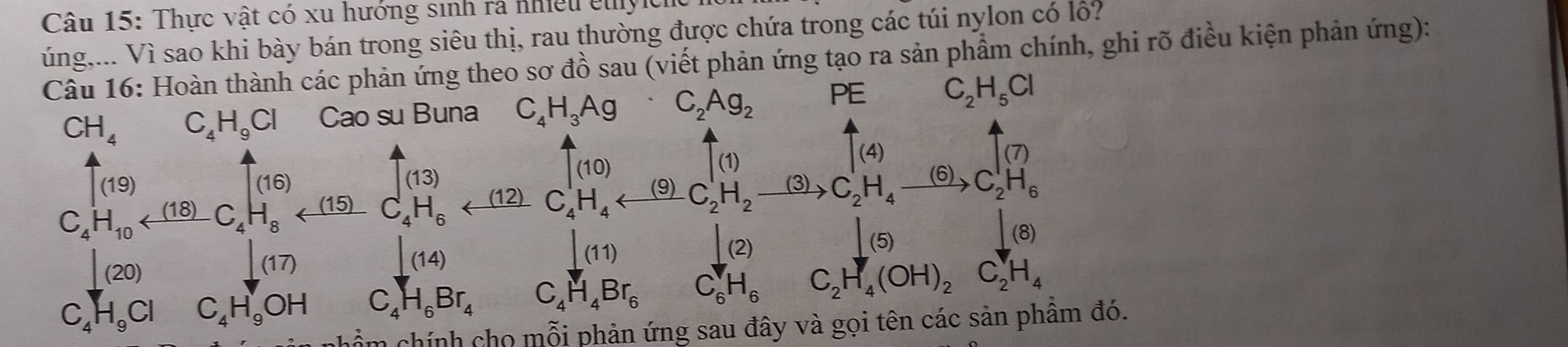 Thực vật có xu hướng sinh ra nhiều cuylc 
úng,... Vì sao khi bày bán trong siêu thị, rau thường được chứa trong các túi nylon có lồ? 
Câu 16: Hoàn thành các phản ứng theo sơ dhat Osau (viết phản ứng tạo ra sản phẩm chính, ghi rõ điều kiện phản ứng):
CH_4 C_4H_9Cl Cao su Buna C_4H_3Ag C_2Ag_2 PE C_2H_5Cl
|(4)
(16)
(13)
uparrow _((10))^4
T_(1)
|(7)
(19) (9)
C_4H_10 C_4H_6_ ∠ (12) C_4^(+H_4) C_2^(1H_2)_  xrightarrow (3)C_2^(1H_4)to C_2^(1H_6)
|(20)
|(17)
|(14)
|(11)
⊥ (2)
|(5) |(8)
C_4H_9Cl C_4H_9OH C_4H_6Br_4 C_4H_4Br_6 C_6H_6 C_2H_4(OH)_2C_2H_H_4
chẩm chính cho mỗi phản ứng sau đây và gọi tên các sản phâm đó.