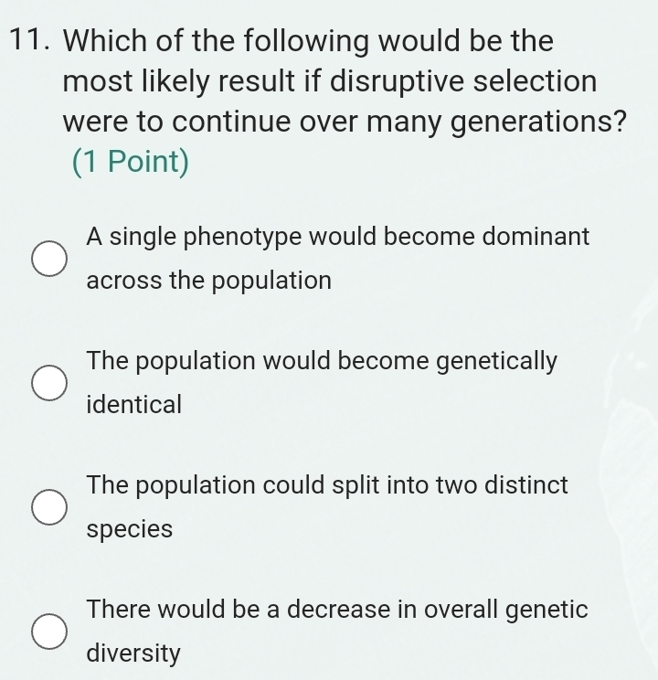 Which of the following would be the
most likely result if disruptive selection
were to continue over many generations?
(1 Point)
A single phenotype would become dominant
across the population
The population would become genetically
identical
The population could split into two distinct
species
There would be a decrease in overall genetic
diversity