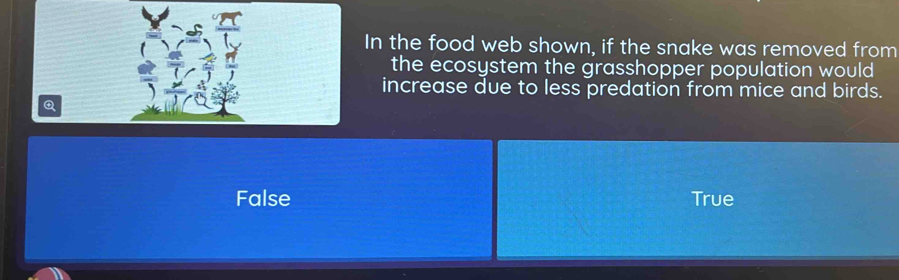 In the food web shown, if the snake was removed from
the ecosystem the grasshopper population would
increase due to less predation from mice and birds.
Q
False True