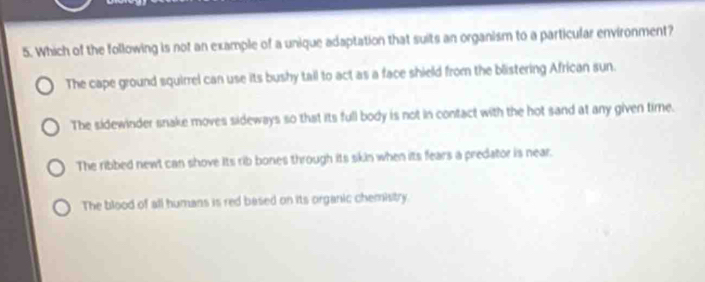 Which of the following is not an example of a unique adaptation that suits an organism to a particular environment?
The cape ground squirrel can use its bushy tail to act as a face shield from the blistering African sun.
The sidewinder snake moves sideways so that its full body is not in contact with the hot sand at any given time.
The ribbed newt can shove its rib bones through its skin when its fears a predator is near.
The blood of all humans is red based on its organic chemistry.