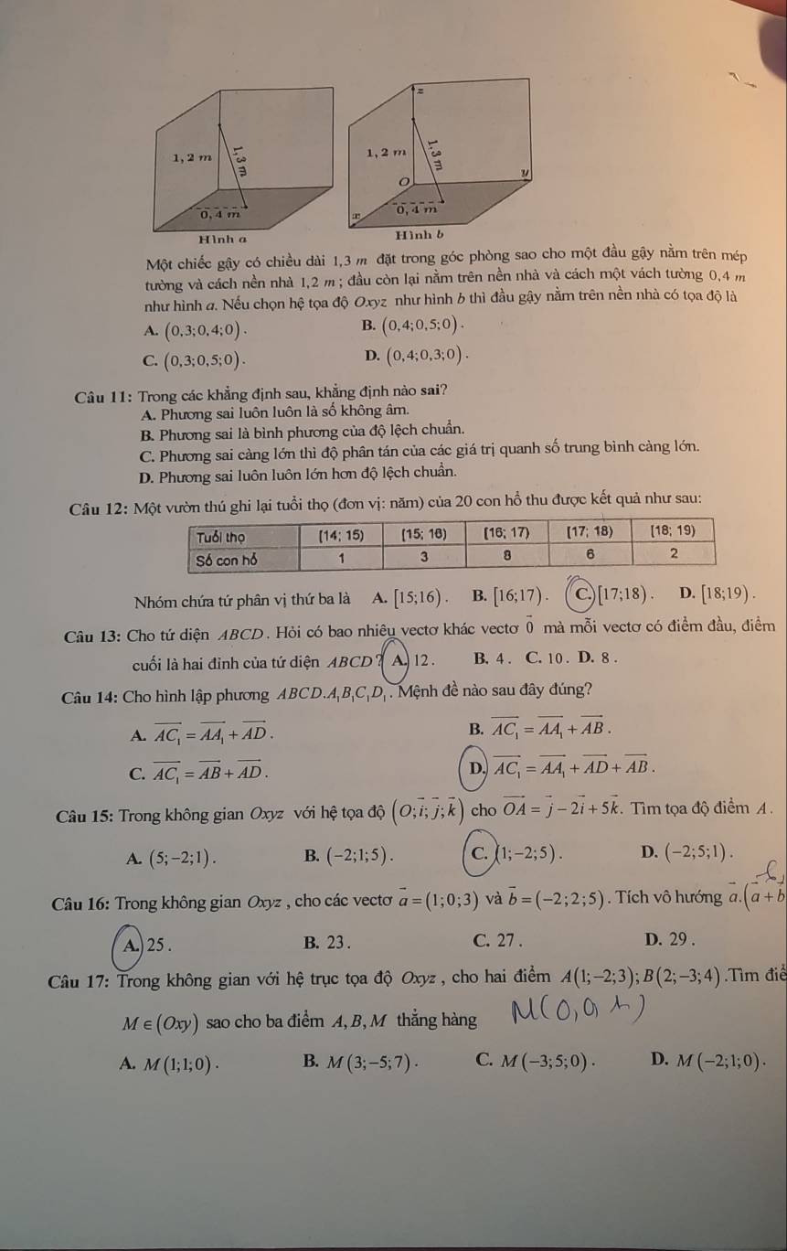 Một chiếc gậy có chiều dài 1,3 m đặt trong góc phòng sao cho một đầu gậy nằm trên mép
tường và cách nền nhà 1,2 m ; đầu còn lại nằm trên nền nhà và cách một vách tường 0,4 m
như hình đ. Nếu chọn hệ tọa độ Oxyz như hình 6 thì đầu gậy nằm trên nền nhà có tọa độ là
B.
A. (0,3;0,4;0). (0,4;0,5;0).
D.
C. (0,3;0,5;0). (0,4;0,3;0).
Câu 11: Trong các khẳng định sau, khẳng định nào sai?
A. Phương sai luôn luôn là số không âm.
B. Phương sai là bình phương của độ lệch chuẩn.
C. Phương sai càng lớn thì độ phân tán của các giá trị quanh số trung bình càng lớn.
D. Phương sai luôn luôn lớn hơn độ lệch chuẩn.
Câu 12: Một vườn thú ghi lại tuổi thọ (đơn vị: năm) của 20 con hổ thu được kết quả như sau:
Nhóm chứa tứ phân vị thứ ba là A. [15;16). B. [16;17) C [17;18). D. [18;19).
Câu 13: Cho tứ diện ABCD. Hỏi có bao nhiêu vectơ khác vectơ 0 mà mỗi vectơ có điểm đầu, điểm
cuối là hai đỉnh của tứ diện ABCD ? A. 12. B. 4 . C. 10 . D. 8 .
Câu 14: Cho hình lập phương ABCD.A,B,C,Dị . Mệnh đề nào sau đây đúng?
A. vector AC_1=vector AA_1+vector AD.
B. vector AC_1=vector AA_1+vector AB.
C. vector AC_1=vector AB+vector AD.
D. vector AC_1=vector AA_1+vector AD+vector AB.
Câu 15: Trong không gian Oxyz với hệ tọa độ (O;vector i;vector j;vector k) cho vector OA=vector j-2vector i+5vector k Tìm tọa độ điểm A.
A. (5;-2;1). B. (-2;1;5). C. (1;-2;5). D. (-2;5;1).
Câu 16: Trong không gian Oxyz , cho các vectơ vector a=(1;0;3) và vector b=(-2;2;5). Tích vô hướng a.(a+b
A.) 25 . B. 23 . C. 27 . D. 29 .
Câu 17: Trong không gian với hệ trục tọa độ Oxyz , cho hai điểm A(1;-2;3);B(2;-3;4) Tìm điể
M∈ (Oxy) sao cho ba điểm A, B, M thắng hàng
A. M(1;1;0). B. M(3;-5;7). C. M(-3;5;0). D. M(-2;1;0).