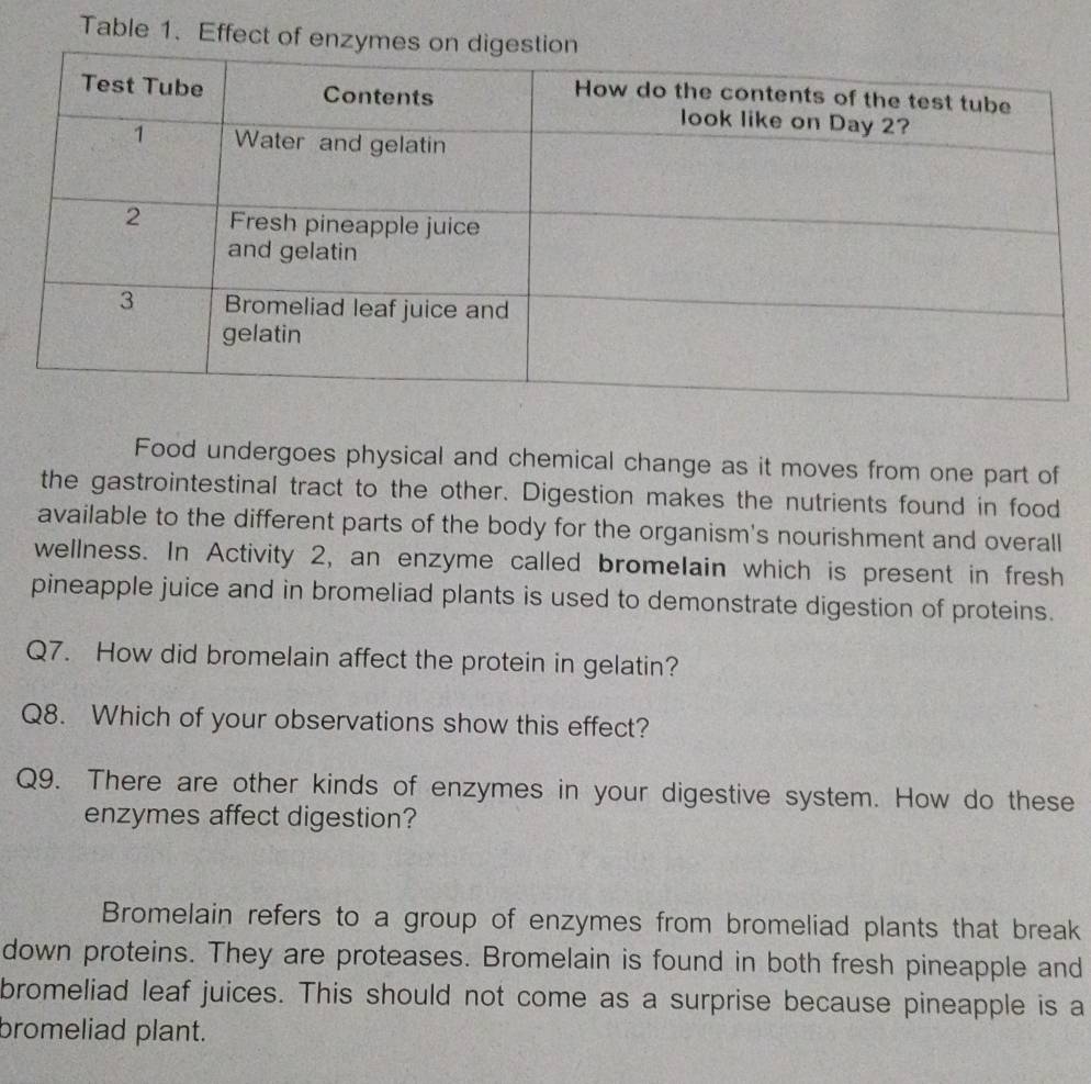 Table 1. Effect of enzymes 
Food undergoes physical and chemical change as it moves from one part of 
the gastrointestinal tract to the other. Digestion makes the nutrients found in food 
available to the different parts of the body for the organism's nourishment and overall 
wellness. In Activity 2, an enzyme called bromelain which is present in fresh 
pineapple juice and in bromeliad plants is used to demonstrate digestion of proteins. 
Q7. How did bromelain affect the protein in gelatin? 
Q8. Which of your observations show this effect? 
Q9. There are other kinds of enzymes in your digestive system. How do these 
enzymes affect digestion? 
Bromelain refers to a group of enzymes from bromeliad plants that break 
down proteins. They are proteases. Bromelain is found in both fresh pineapple and 
bromeliad leaf juices. This should not come as a surprise because pineapple is a 
bromeliad plant.