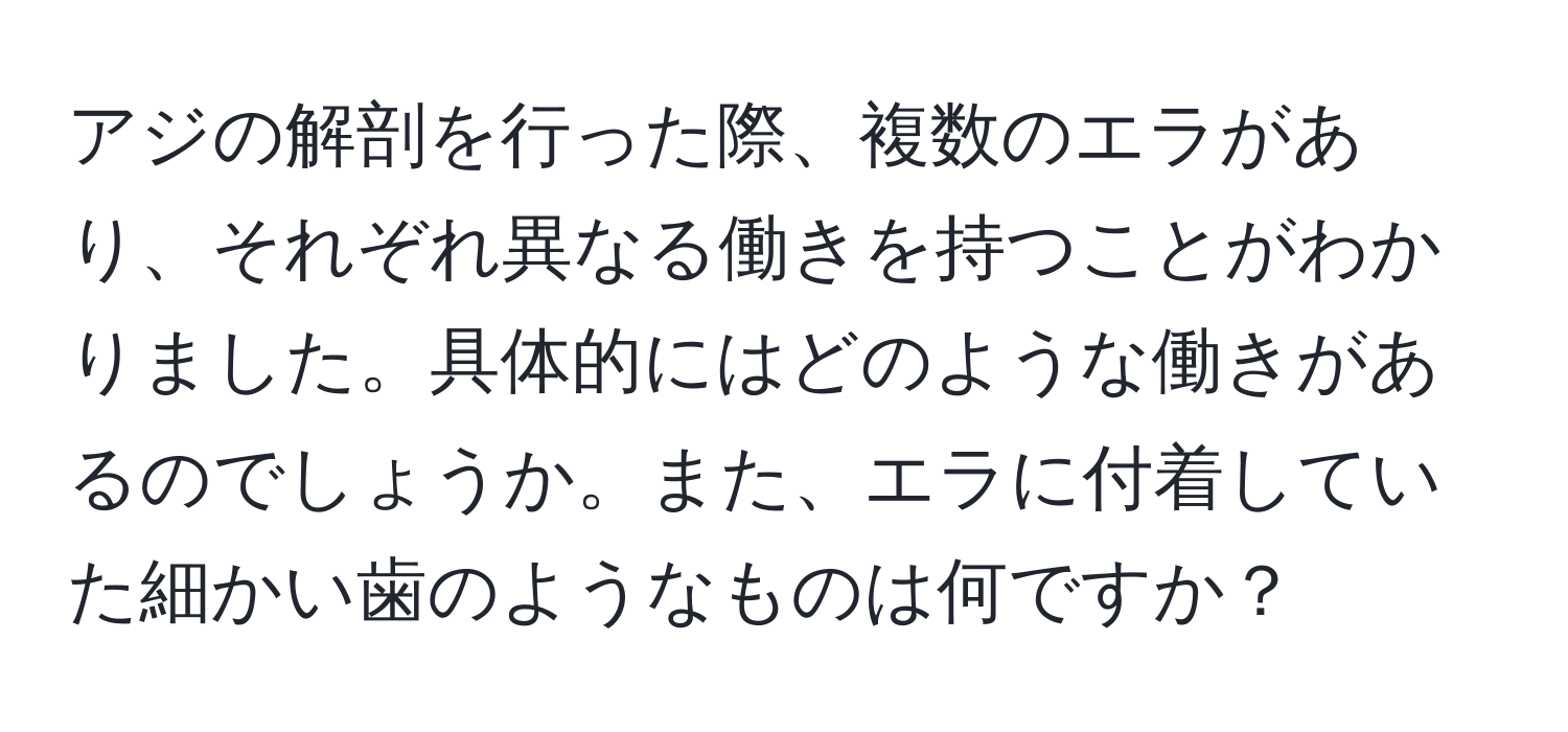 アジの解剖を行った際、複数のエラがあり、それぞれ異なる働きを持つことがわかりました。具体的にはどのような働きがあるのでしょうか。また、エラに付着していた細かい歯のようなものは何ですか？