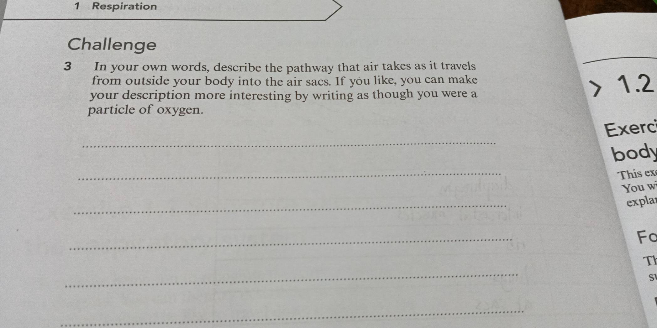 Respiration 
Challenge 
3 In your own words, describe the pathway that air takes as it travels 
from outside your body into the air sacs. If you like, you can make 1.2
your description more interesting by writing as though you were a 
particle of oxygen. 
_ 
Exerc 
bod 
_ 
This ex 
You wi 
_ 
explar 
_ 
Fo 
_ 
Th 
S1 
_