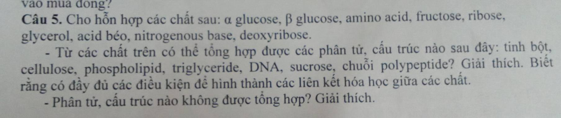 vao mua dong? 
Câu 5. Cho hỗn hợp các chất sau: α glucose, β glucose, amino acid, fructose, ribose, 
glycerol, acid béo, nitrogenous base, deoxyribose. 
- Từ các chất trên có thể tổng hợp được các phân tử, cấu trúc nào sau đây: tinh bột, 
cellulose, phospholipid, triglyceride, DNA, sucrose, chuỗi polypeptide? Giải thích. Biết 
rằng có đầy đủ các điều kiện để hình thành các liên kết hóa học giữa các chất. 
- Phân tử, cấu trúc nào không được tổng hợp? Giải thích.