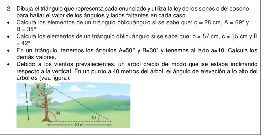 Dibuja el triángulo que representa cada enunciado y utiliza la ley de los senos o del coseno 
para hallar el valor de los ángulos y lados faltantes en cada caso. 
Calcula los elementos de un triángulo oblicuángulo si se sabe que: c=28cm, A=69°)
B=35°
Calcula los elementos de un triángulo oblicuángulo si se sabe que: b=57cm, c=35cm y B
=42°
En un triángulo, tenemos los ángulos A=50° y B=30° y tenemos al lado a=10. Calcula los 
demás valores. 
Debido a los vientos prevalecientes, un árbol creció de modo que se estaba inclinando 
respecto a la vertical. En un punto a 40 metros del árbol, el ángulo de elevación a lo alto del 
árbol es (vea figura).