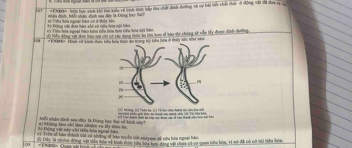 eu hoa ngoại bão l c ó the t
107 ∠ INDS Một học sinh khi tìm hiểu về hình thức hấp thu chất dinh dưỡng và sự bài tiết chất thải ở động vật đã đưa ra cáa
nhận định. Mỗi nhận định sau đây là Đúng hay Sai?
a) Tiêu hỏa ngoại bào có ở thủy tức.
b) Động vật đơn bào chỉ có tiêu hóa nội bào.
c) Tiêu hóa ngoại bào kém tiến hóa hơn tiêu hóa nội bào.
108 d) Nếu động vật đơn bào mà chỉ có các dang thức ăn lớn hơn tế bào thì chúng sẽ vẫn lấy được dinh dưỡng.
∠ INDS Hình vẽ hình thức titrong túi tiêu hóa ở thủy tức như sau:
[1] Miệng, [2] Thức ăn, [3] Tế bào trên thành tủi tiêu hóa tiết
enzyme phần giải thức ăn thành các mành nhỏ, [4] Tùi tiêu hỏa,
Mỗi nhận định sau đây là Đúng hay Sai về hình này? [5] Các mảnh thức ăn tiếp tục được các tế bảo thành tiểu hỏa nội bào
a) Miệng làm chỉ làm nhiệm vụ lấy thức ăn.
b) Động vật này chỉ tiêu hóa ngoại bào.
c) Trên tế bào thành túi có những tế bào tuyến tiết enzyme đề tiêu hóa ngoại bào.
109 d) Đây là nhóm động vật tiến hóa về hình thức tiêu hóa hơn động vật chưa có cơ quan tiêu hóa, vì nó đã có có túi tiêu hóa,
∠ TNDS> Quan sát hình về cấu