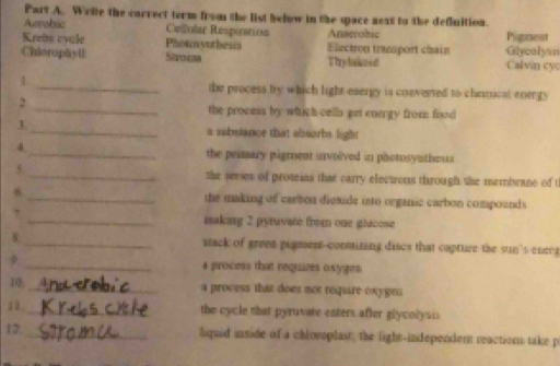 Write the carrect term from the list below in the space next to the defluition.
Aumabic Celfular Resptration Anserobic Pignest
Krets cyale Photoryuthesis Ellectron trasport chain
Chiorophyll Sarouuta Thylakoid Calvin cyo Glyealys
1 the process by which light eaergy is converted to chemical energy
_2
the process by whhich cells get energy from food
3._ a substance that absorbs light
4
_the peimary pigment unvolived in photosynthesss
5 _the series of proteias that carry electrons through the membrane of t
_the making of carbon diexide into organic carbon compounds
,
_makong 2 pyruvate from one glucose
8. stack of green pigment-conmining discs that capture the sun's energ
ψ _a process that requires oxyges
10 a process that does not require oxygro 
10._
the cycle that pyruvate enters after glycolysu
12. liquid inside of a chloroplast; the light-independent reactions take p