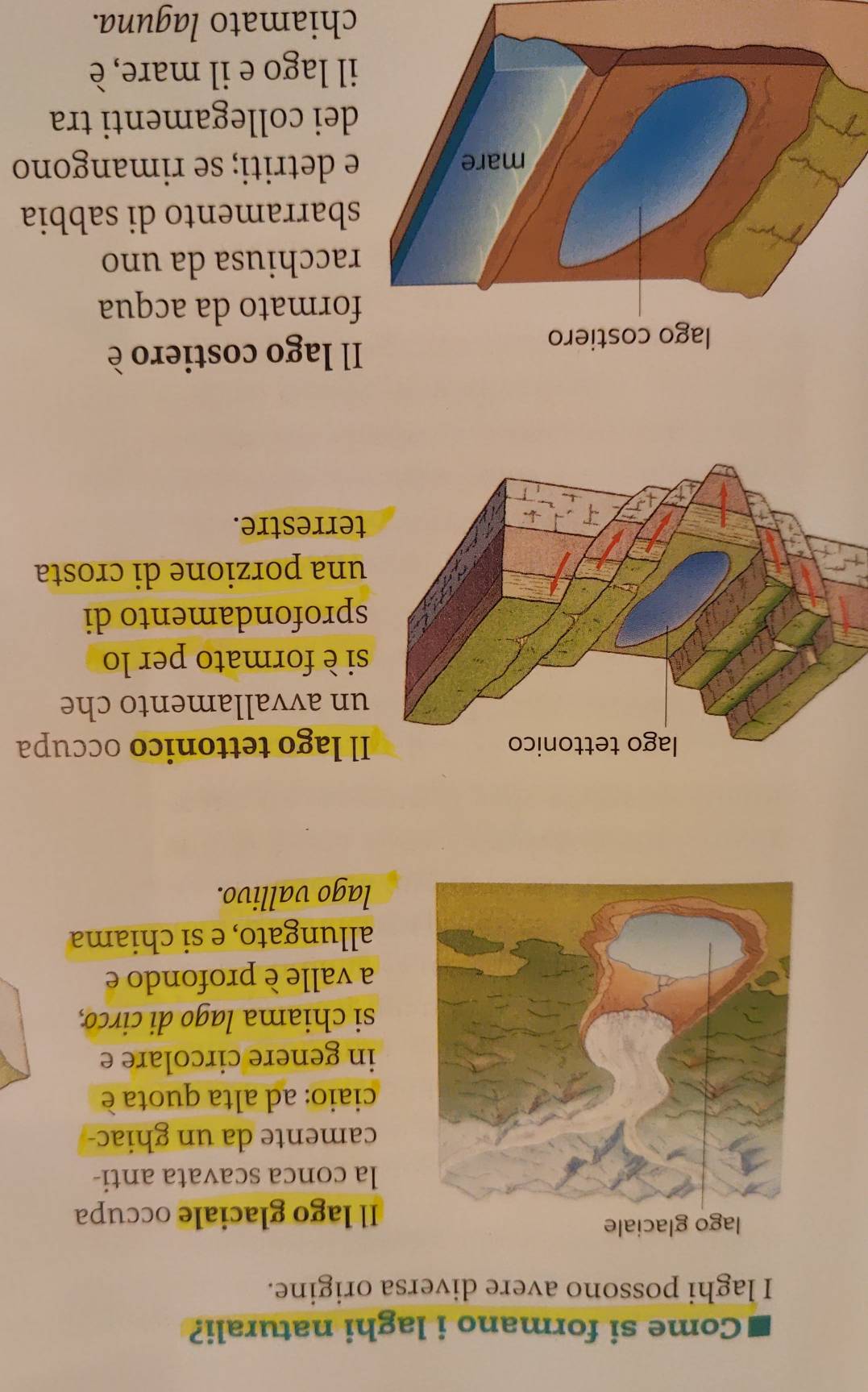 Come si formano i laghi naturali? 
I laghi possono avere diversa origine. 
Il lago glaciale occupa 
la conca scavata anti- 
camente da un ghiac- 
ciaio: ad alta quota è 
in genere circolare e 
si chiama lago di circo, 
a valle è profondo e 
allungato, e si chiama 
lago vallivo. 
lago tettonico occupa 
n avvallamento che 
i è formato per lo 
profondamento di 
na porzione di crosta 
errestre. 
lago costiero 
Il lago costiero è 
rmato da acqua 
cchiusa da uno 
arramento di sabbia 
detriti; se rimangono 
ei collegamenti tra 
lago e il mare, è 
chiamato laguna.