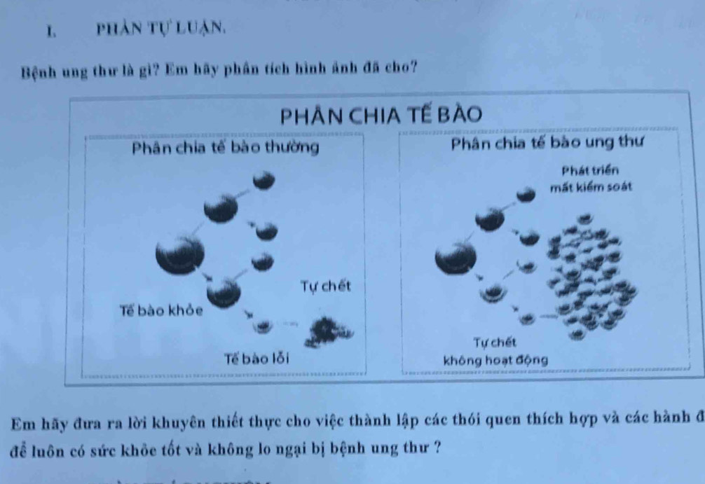 phản tự luận. 
Bệnh ung thư là gì? Em hãy phần tích hình ảnh đã cho? 
PHÂN CHIA TẾ BÀo 

Em hãy đưa ra lời khuyên thiết thực cho việc thành lập các thói quen thích hợp và các hành đ 
để luôn có sức khỏe tốt và không lo ngại bị bệnh ung thư ?