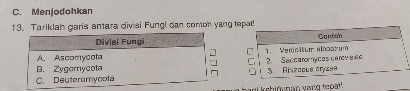 Menjodohkan 
13. Tariklah garis antara divisi Fungi dan contoh yang tep 

ba g i k ehidupan vang tepat!