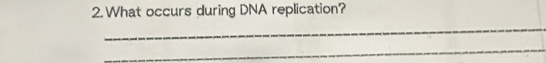 What occurs during DNA replication? 
_ 
_