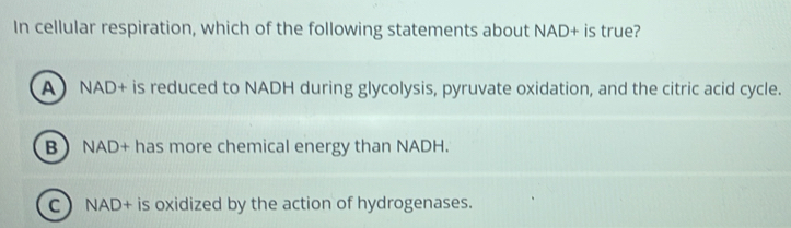 In cellular respiration, which of the following statements about NAD+ is true?
A NAD+ is reduced to NADH during glycolysis, pyruvate oxidation, and the citric acid cycle.
B NAD+ has more chemical energy than NADH.
C  NAD+ is oxidized by the action of hydrogenases.