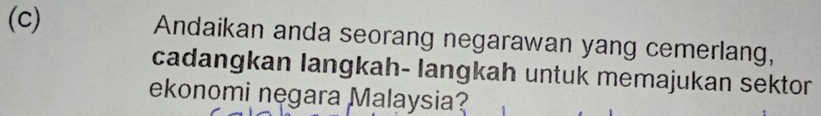 Andaikan anda seorang negarawan yang cemerlang, 
cadangkan langkah- langkah untuk memajukan sektor 
ekonomi negara Malaysia?