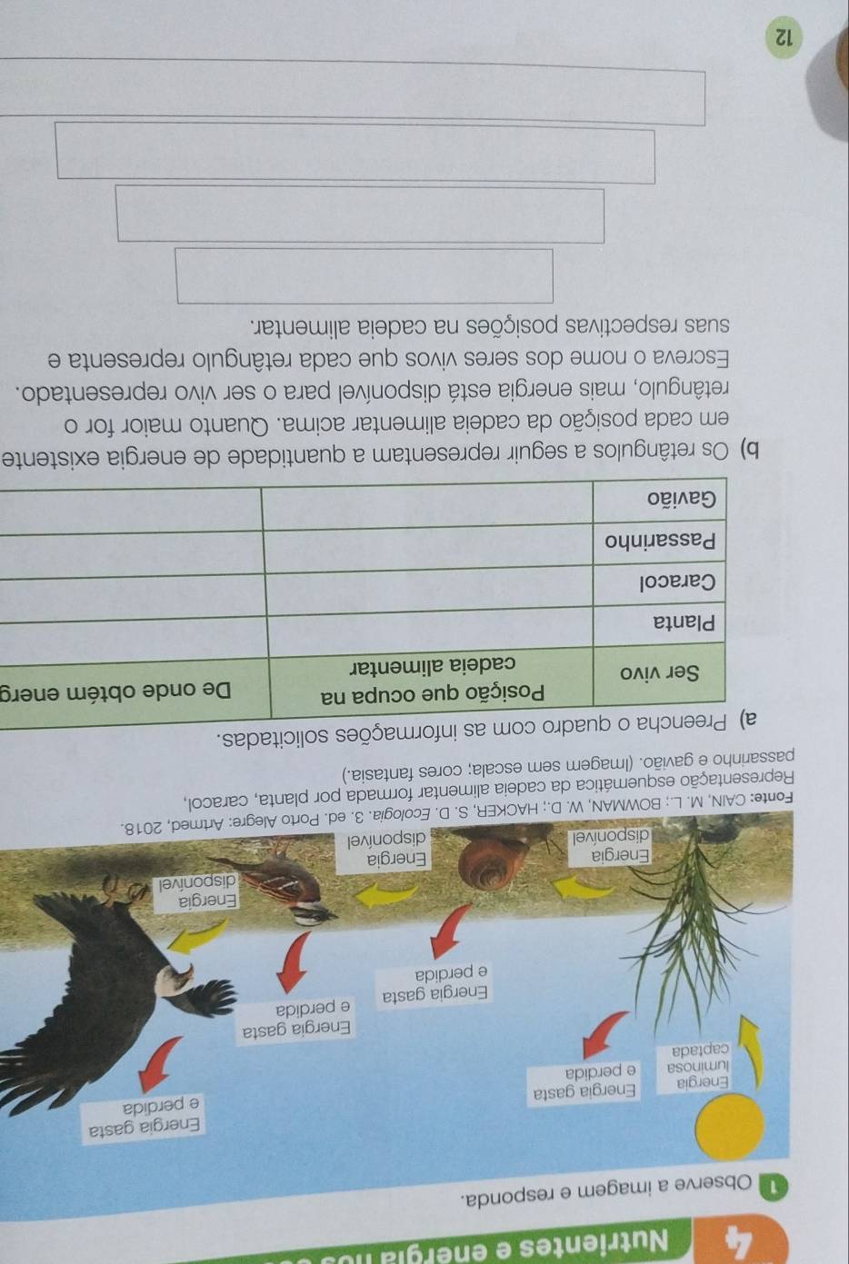 Nutrientes e enérgía no 
Fonte: CAIN, M. L.; BOWMAN, W. 
Representação esquemática da cadeia alimentar formada por planta, caracol, 
passarinho e gavião. (Imagem sem escala; cores fantasia.) 
es solicitadas. 
rg 
b) Os retângulos a seguir representam a quantidade de energia existente 
em cada posição da cadeia alimentar acima. Quanto maior for o 
retângulo, mais energia está disponível para o ser vivo representado. 
Escreva o nome dos seres vivos que cada retângulo representa e 
suas respectivas posições na cadeia alimentar. 
12