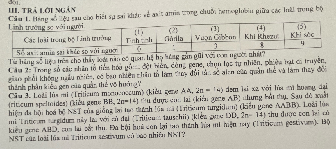 đôi. 
III. TRÀ LờI NGÁn 
Câu 1. số liệu sau cho biết sự sai khác về axit amin trong chuỗi hemoglobin giữa các loài trong bộ 
Từ bảng số liệu trên cho thấy loài nào có quan hệ họ 
Câu 2: Trong số các nhân tố tiến hóa gồm: đột biến, dòng gene, chọn lọc tự nhiên, phiêu bạt di truyền, 
giao phối không ngẫu nhiên, có bao nhiêu nhân tố làm thay đổi tần số alen của quần thể và làm thay đổi 
thành phần kiểu gen của quần thể vô hướng? 
Câu 3. Loài lúa mì (Triticum monococcum) (kiều gene AA, 2n=14) đem lai xa với lúa mì hoang dại 
(riticum speltoides) (kiểu gene BB, 2n=14) thu được con lai (kiểu gene AB) nhưng bất thụ. Sau đó xuất 
hiện đa bội hoá bộ NST của giống lai tạo thành lúa mì (Triticum turgidum) (kiểu gene AABB). Loài lúa 
mì Triticum turgidum này lai với cỏ dại (Triticum tauschii) (kiểu gene DD, 2n=14) thu được con lai có 
kiểu gene ABD, con lai bất thụ. Đa bội hoá con lại tao thành lúa mì hiện nay (Triticum gestivum). Bộ 
NST của loài lúa mì Triticum aestivum có bao nhiêu NST?