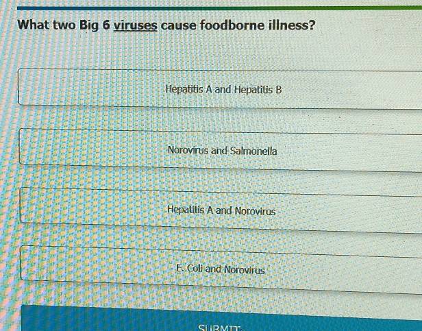 What two Big 6 viruses cause foodborne illness?
Hepatitis A and Hepatitis B
Norovirus and Salmonella
Hepatitis A and Norovirus
E. Coli and Norovirus