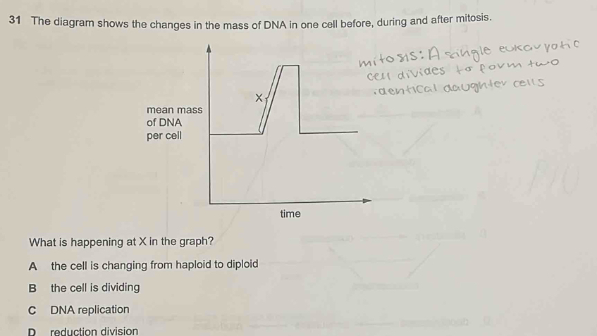 The diagram shows the changes in the mass of DNA in one cell before, during and after mitosis.
mean mass
of DNA
per cell
time
What is happening at X in the graph?
A the cell is changing from haploid to diploid
B the cell is dividing
C DNA replication
D reduction division