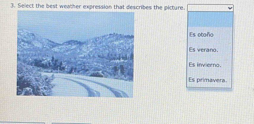 Select the best weather expression that describes the picture.
Es otoño
Es verano.
Es invierno.
Es primavera.