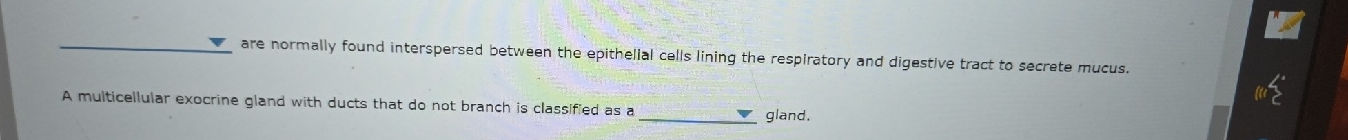 are normally found interspersed between the epithelial cells lining the respiratory and digestive tract to secrete mucus. 
A multicellular exocrine gland with ducts that do not branch is classified as a _gland.